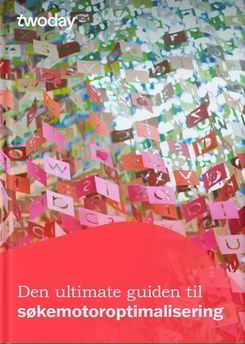 Den ultimate guiden til sokemotor - bok