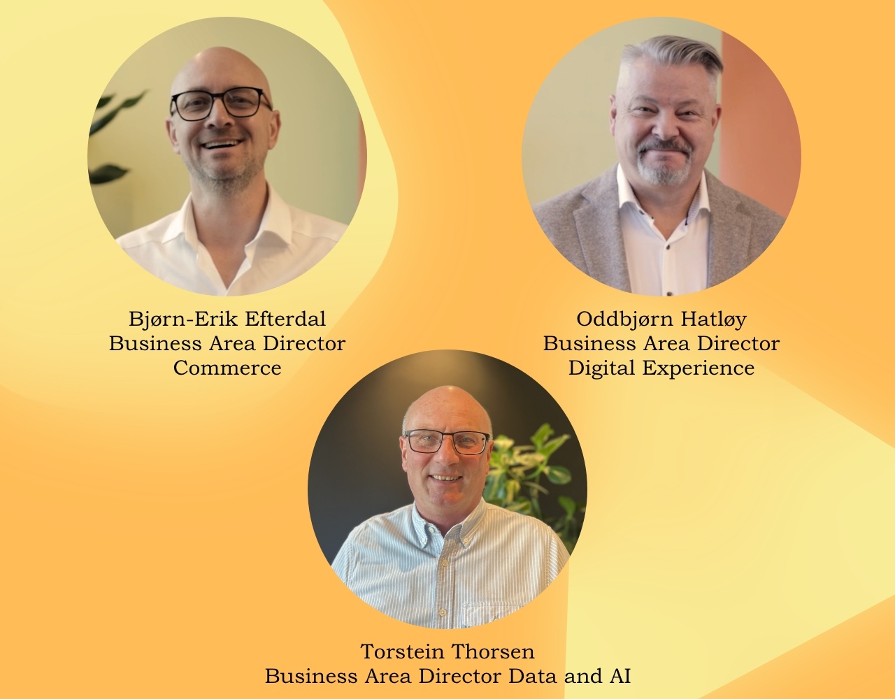 Modrnisering av B2B kundeportaler