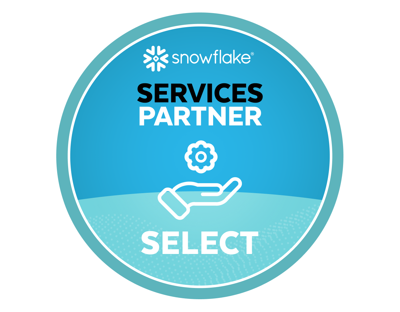 Snowflake services partner